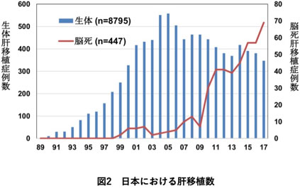 図2　日本における肝移植数