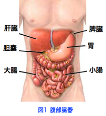 fig2