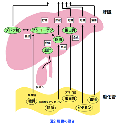 fig03