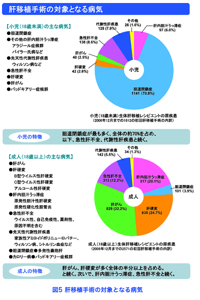 病気 肝臓