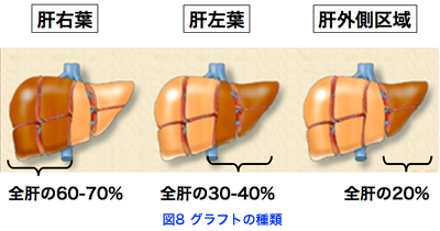 fig09