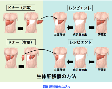 fig10