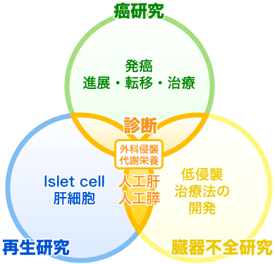 肝胆膵・移植グループ