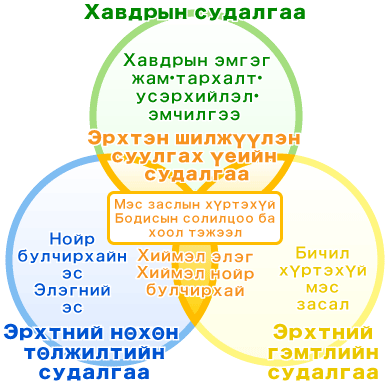 Элэг, цөс― нойр булчирхайн баг