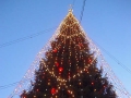 留学記・ブログ的なこと５\12月29日Slussenの大クリスマスツリー 004.jpg