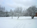 留学記・ブログ的なこと５\1月21日ついに大雪 011.jpg